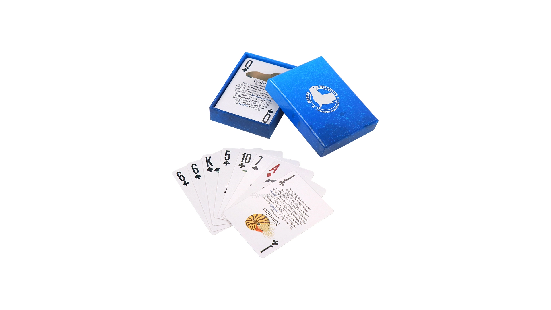 Custom Flash Card Printing Marine Cognitive Educational Card Game 1