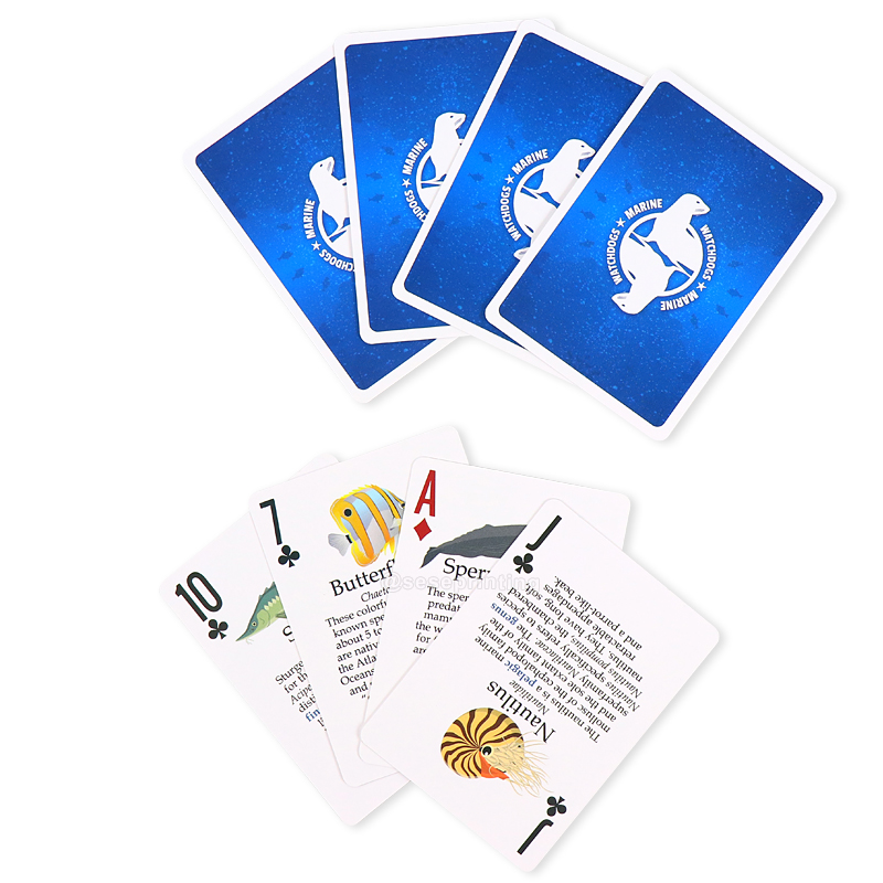Custom Flash Card Printing Marine Cognitive Educational Card Game 8