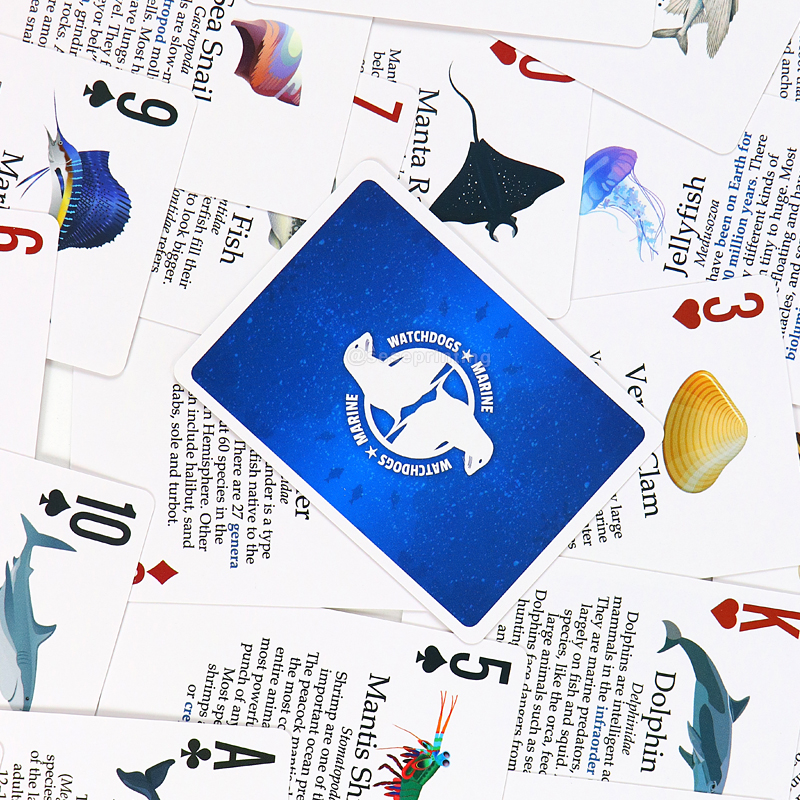 Custom Flash Card Printing Marine Cognitive Educational Card Game 9