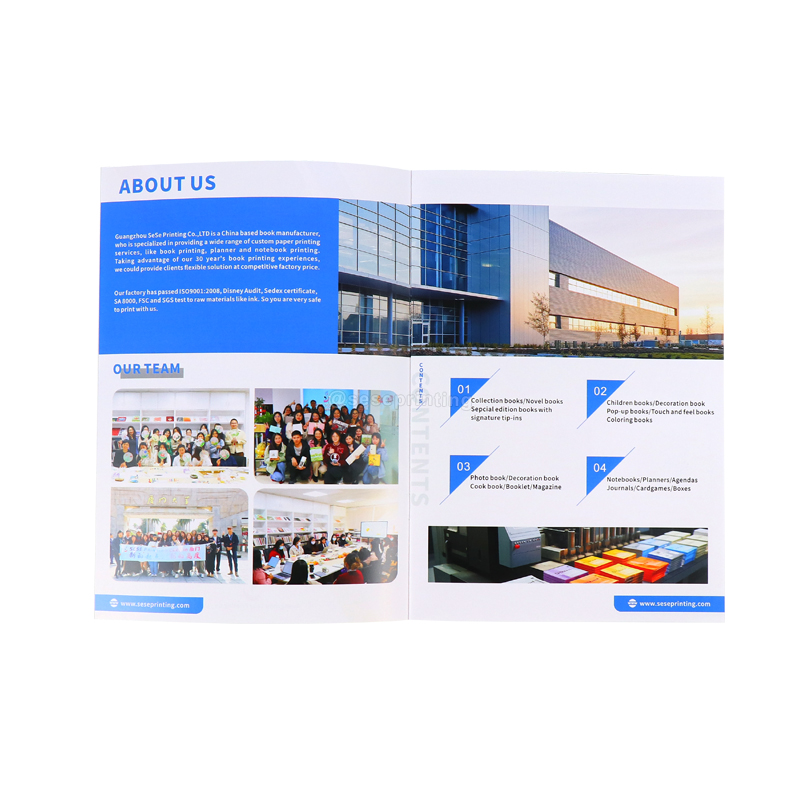 Company Exhibition Introduce Brochure Double Sided Booklet Print 7