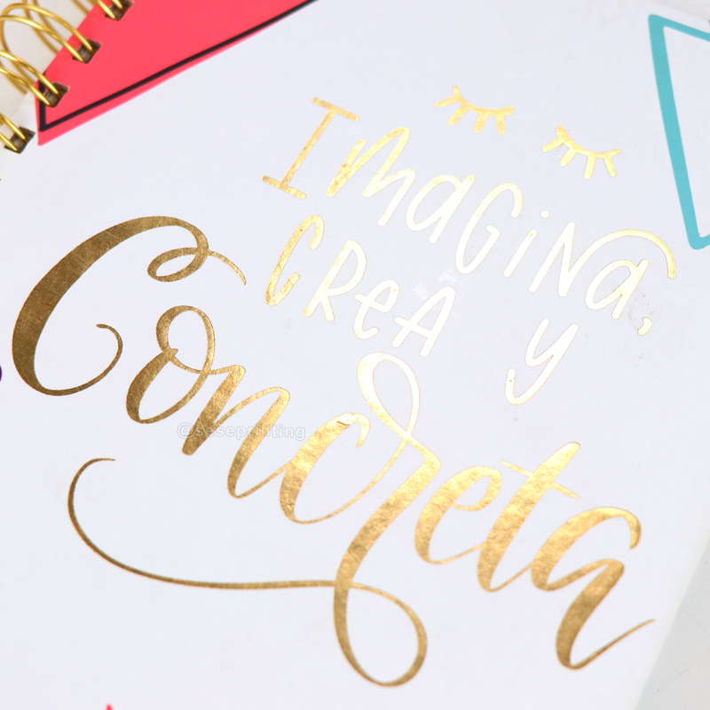 Spiral Journal Custom Printing Notebook Daily Agenda Planner 11