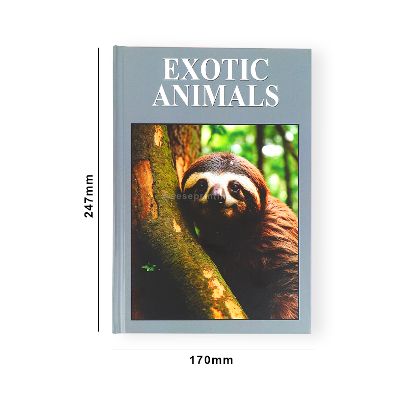 Customized Real Hardcover Decorative Book Set Printing Decor Book 6