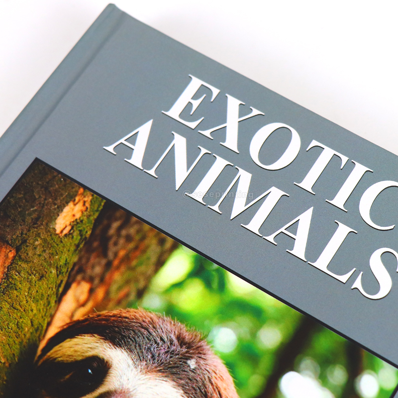 Customized Real Hardcover Decorative Book Set Printing Decor Book 8