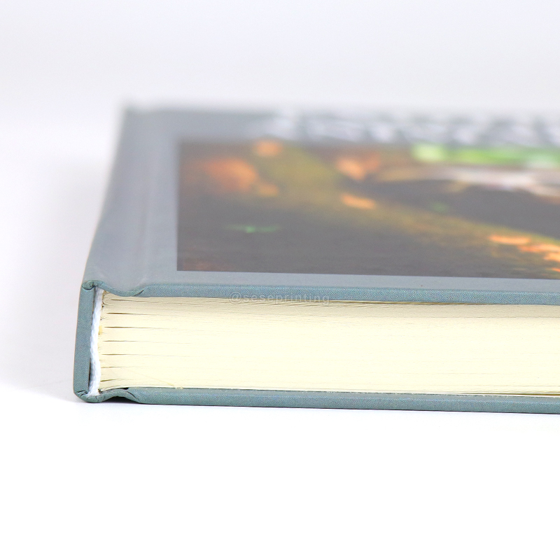 Customized Real Hardcover Decorative Book Set Printing Decor Book 9