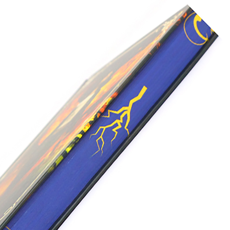 Custom Book Printing Sprayed Paint Edges Hardcover Book Printing 8