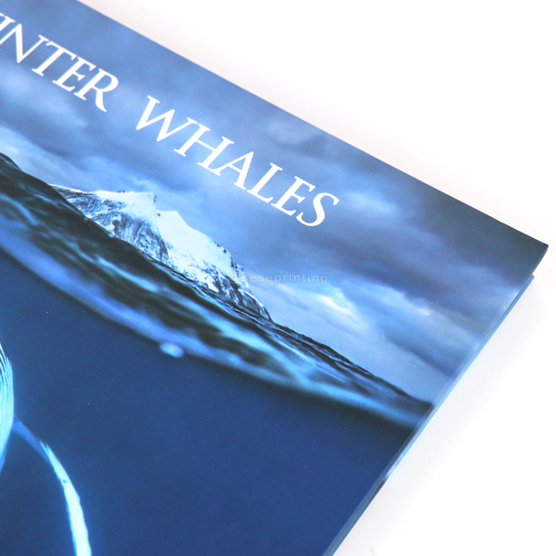 Luxury Photography Book Custom Hardcover Landscape Book Printing 8