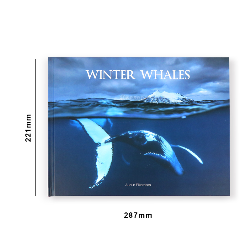 Luxury Photography Book Custom Hardcover Landscape Book Printing 6