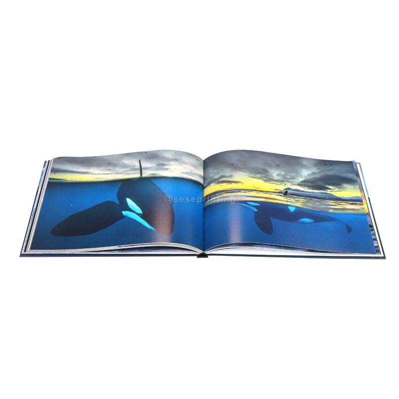 Luxury Photography Book Custom Hardcover Landscape Book Printing 7