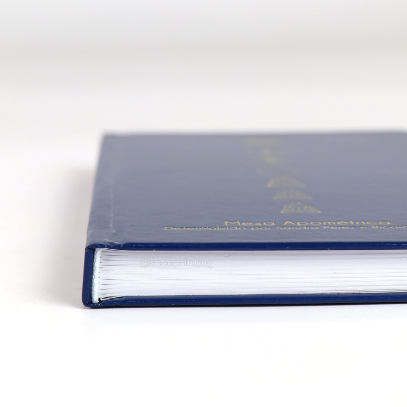 Health and Physical Textbook Full Color Hardcover Book Printing 9