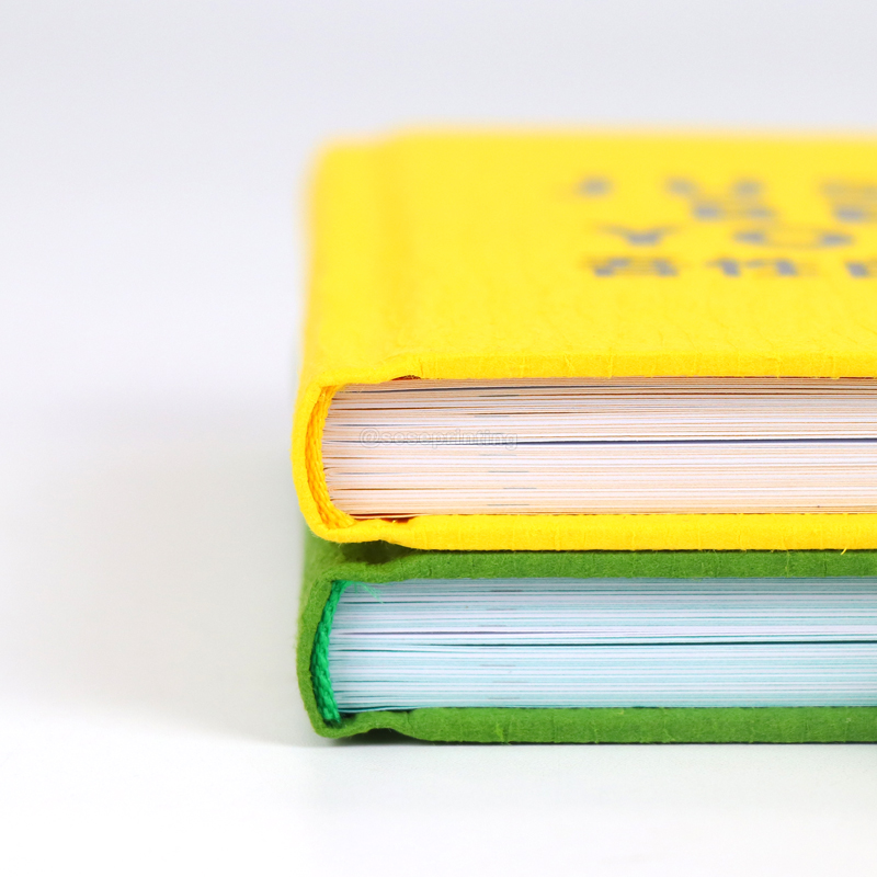 Custom Case Bound Textbook Printing Hardcover Books with Slipcase 11