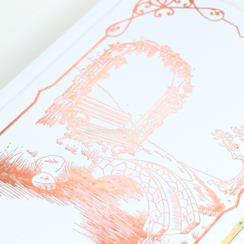 Printing Luxury Hardback Book with Foil Stamping and Sprayed Edges 9