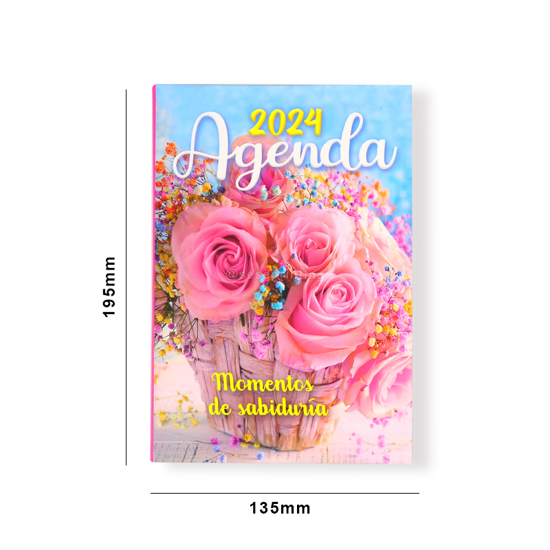 Softcover A5 Notebook Printing Daily Journal Custom Yearly Agenda 6