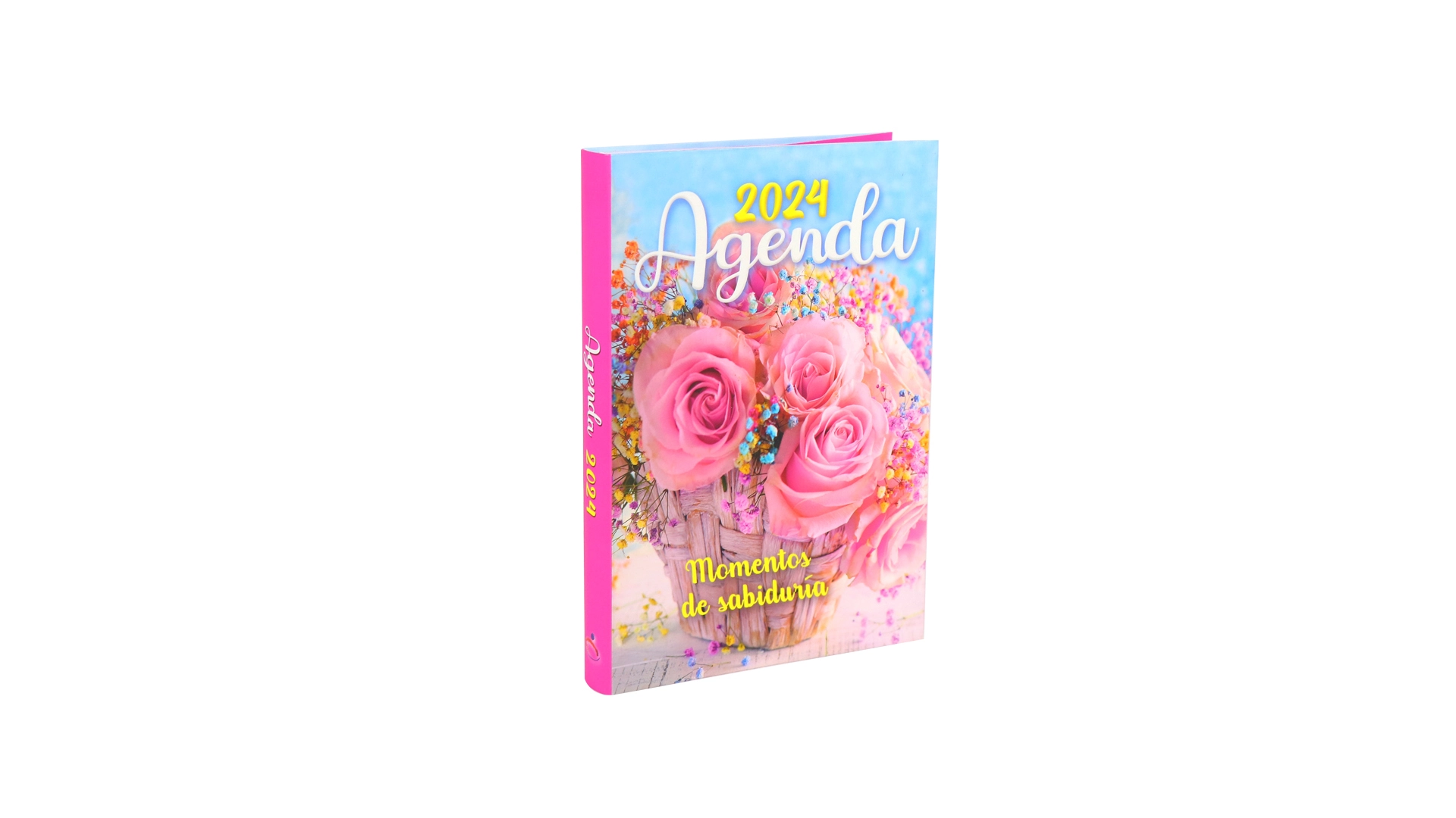 Softcover A5 Notebook Printing Daily Journal Custom Yearly Agenda 1