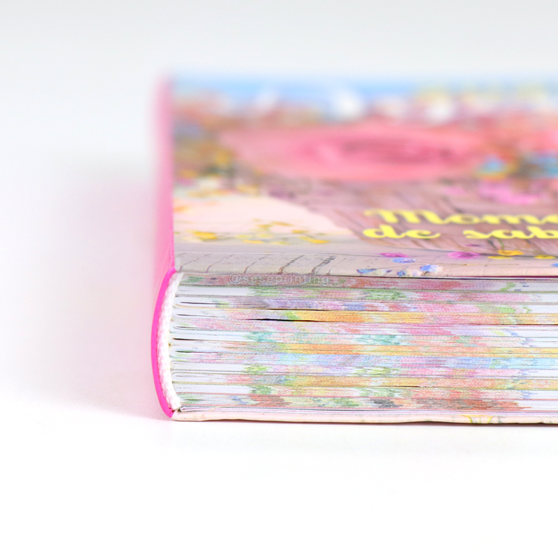 Softcover A5 Notebook Printing Daily Journal Custom Yearly Agenda 10