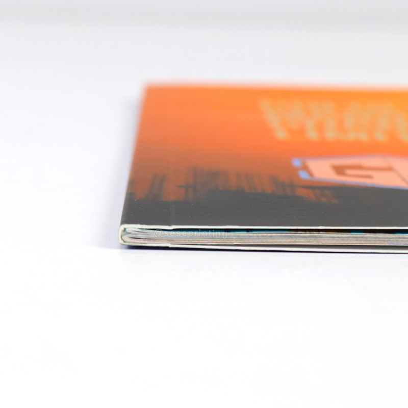 Professional Magazine Company Brochure Book Printing Paperback 10