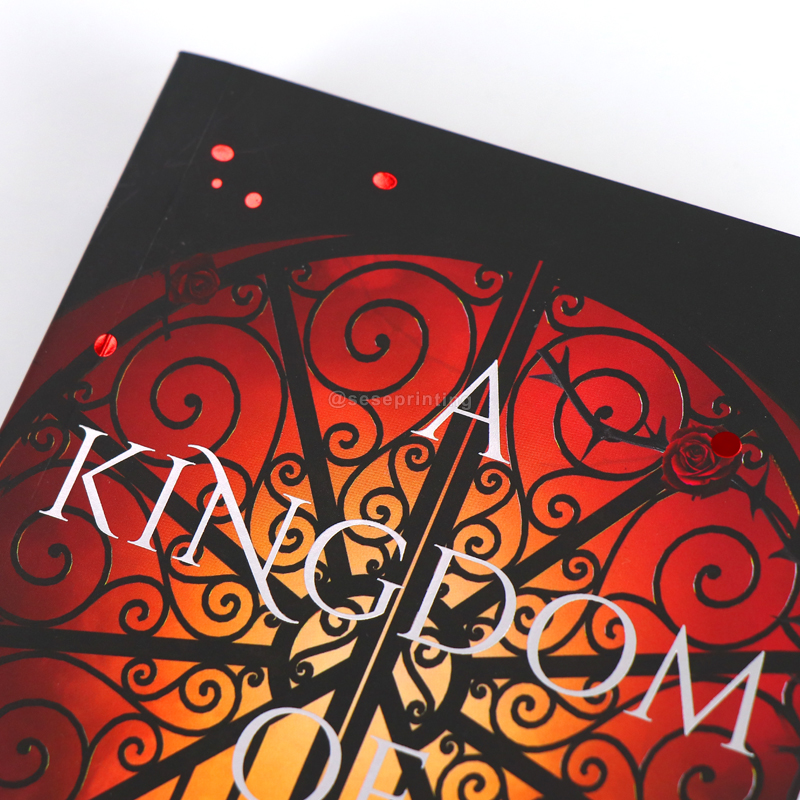 Paperback Novel Series A5 Softcover Book Printing Manufacturer 8