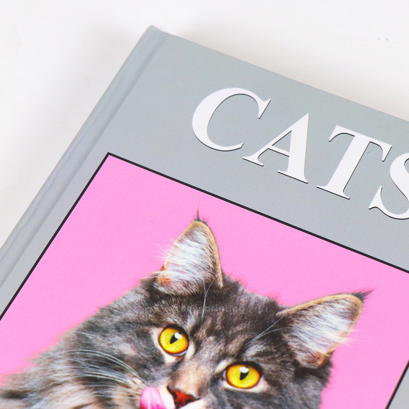 Custom Blank Decorative Book Printing Hardcover Coffee Table Books 8