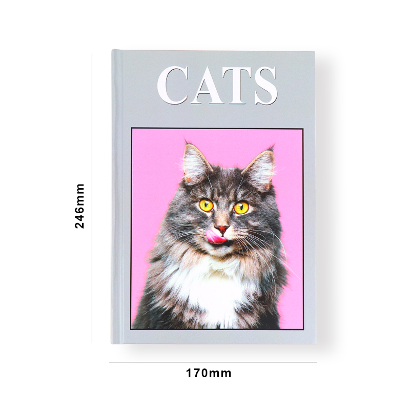 Custom Blank Decorative Book Printing Hardcover Coffee Table Books 6