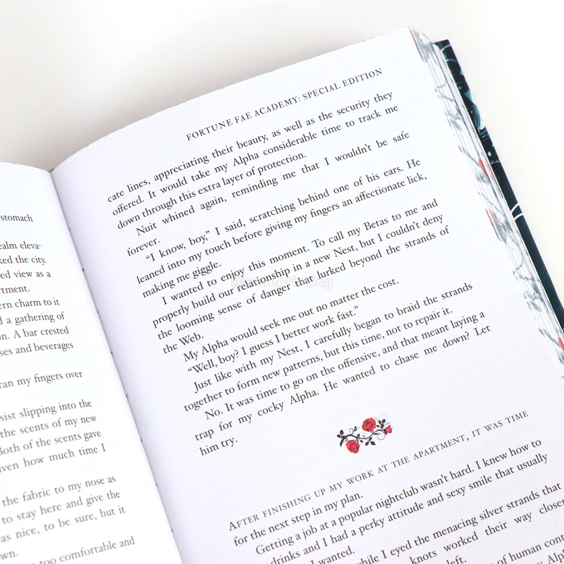 Printed Foil Matte Lamination Cover/Sprayed Edges Hardcover Books 8