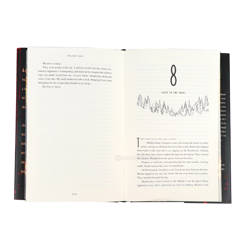 Buchdruck in Hardcover mit Schutzumschlag und Farbschnitt 8