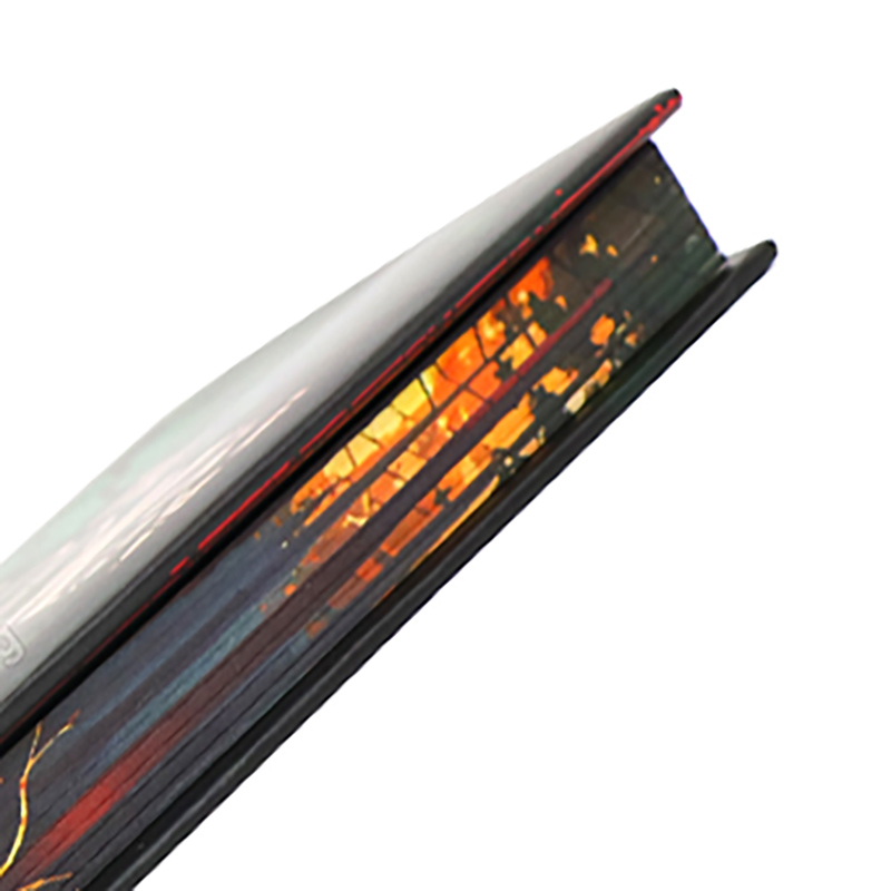 Buchdruck in Hardcover mit Schutzumschlag und Farbschnitt 11