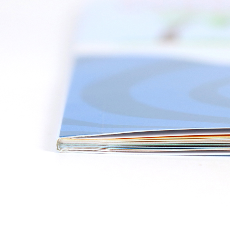 China Book Printing Softcover Children's Illustration Story Books 9