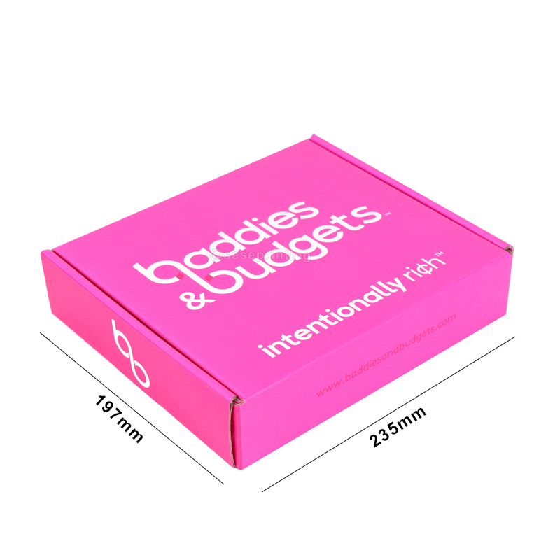 PVC Cover Monthly Expense Tracker Budget Planner Printed with Box 7