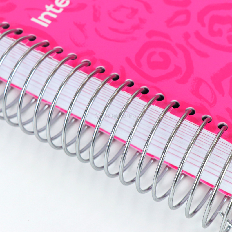 PVC Cover Monthly Expense Tracker Budget Planner Printed with Box 11