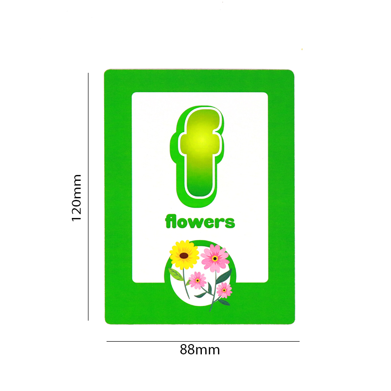 Custom Capital and Lower Case Letters Flash Cards Printing Company 7