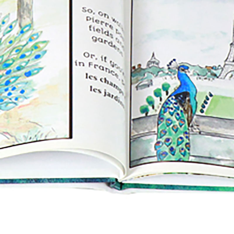 Custom Hardcover Children Photo Book Printing with Dust Jacket 10