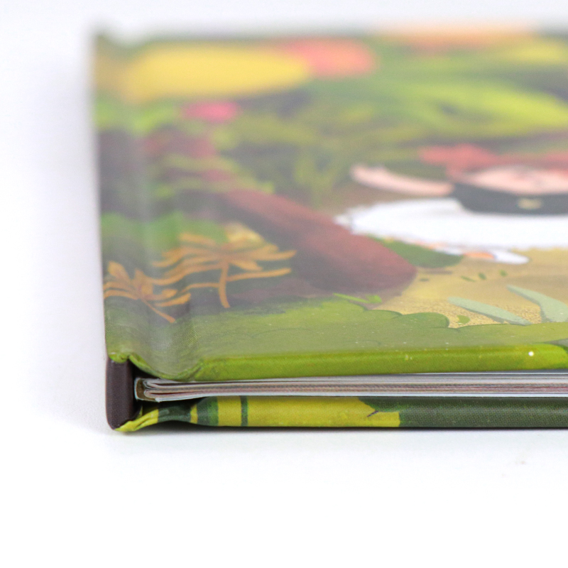 Customized Size Hardback Children's Illustration Books Printing 9