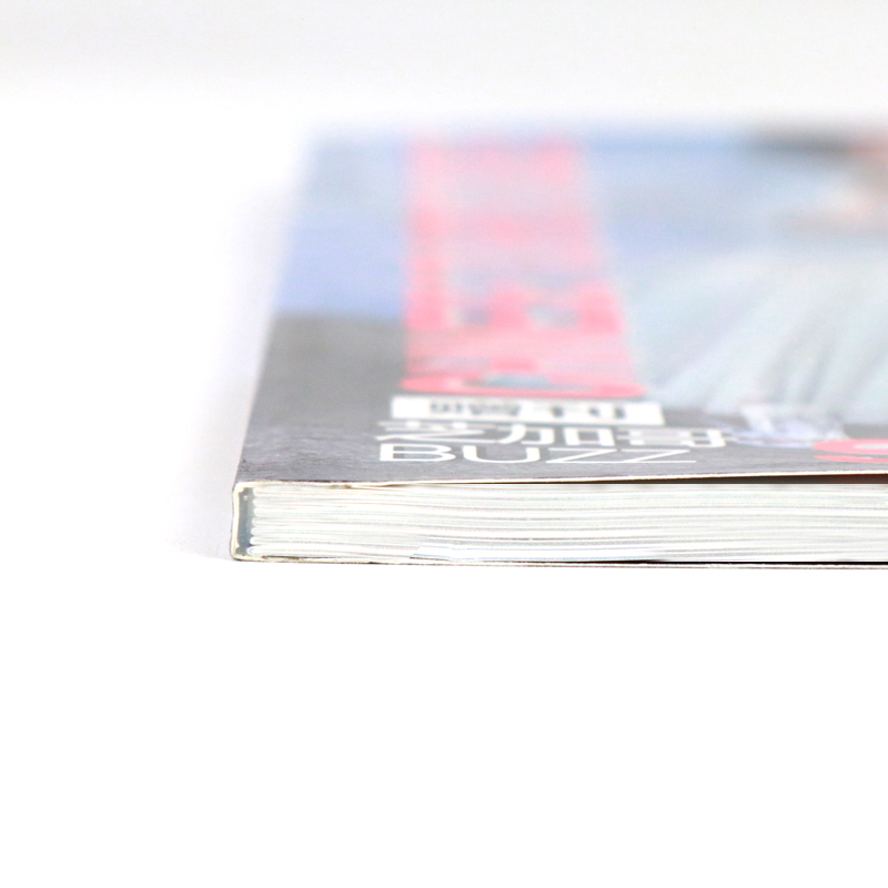 Custom Size Softcover Magazine Brochure Printing Service 9