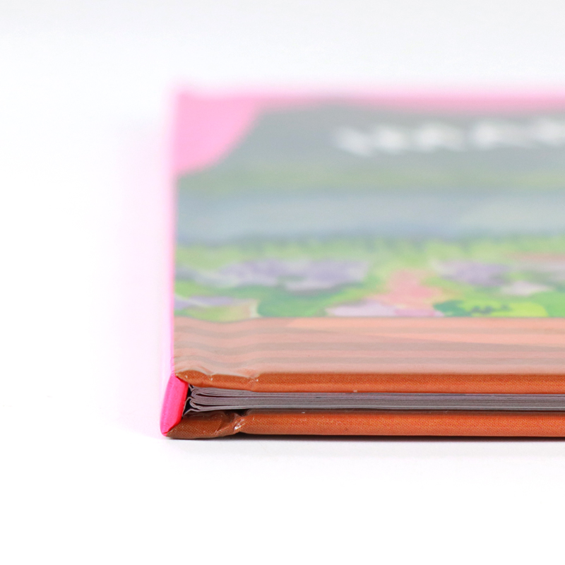 Book Publishing Printing Services Custom Children's Hardback Book 9