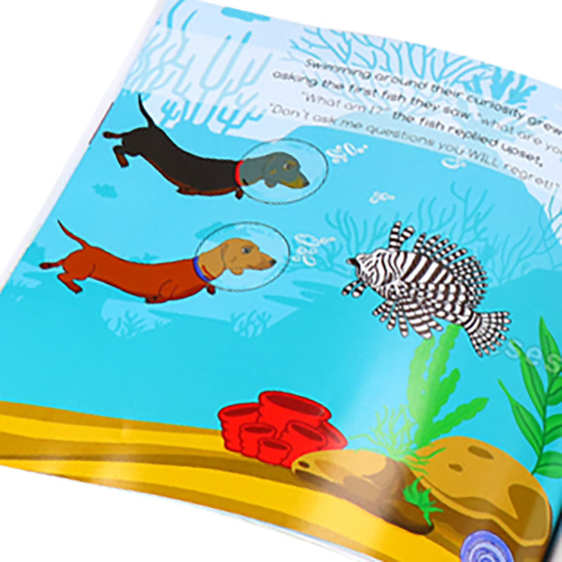Both Sides Coloured Gloss Coated Softcover Children's Book 8