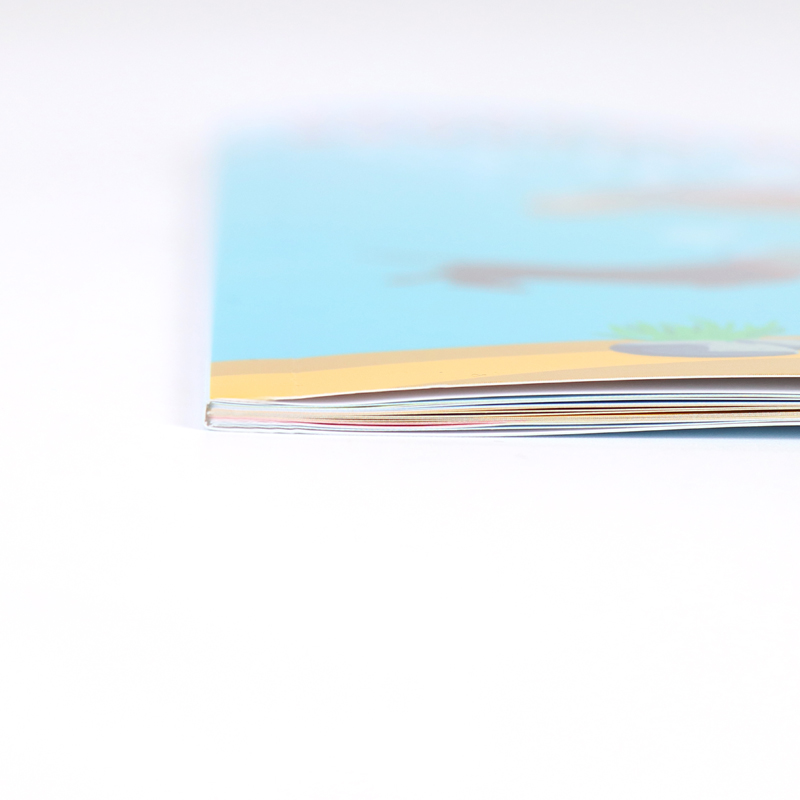 Both Sides Coloured Gloss Coated Softcover Children's Book 9