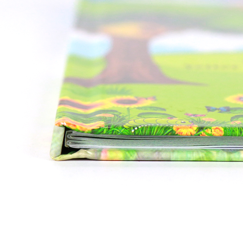 China Book Manufacturer Printing Hardcover Kids Story Books 9