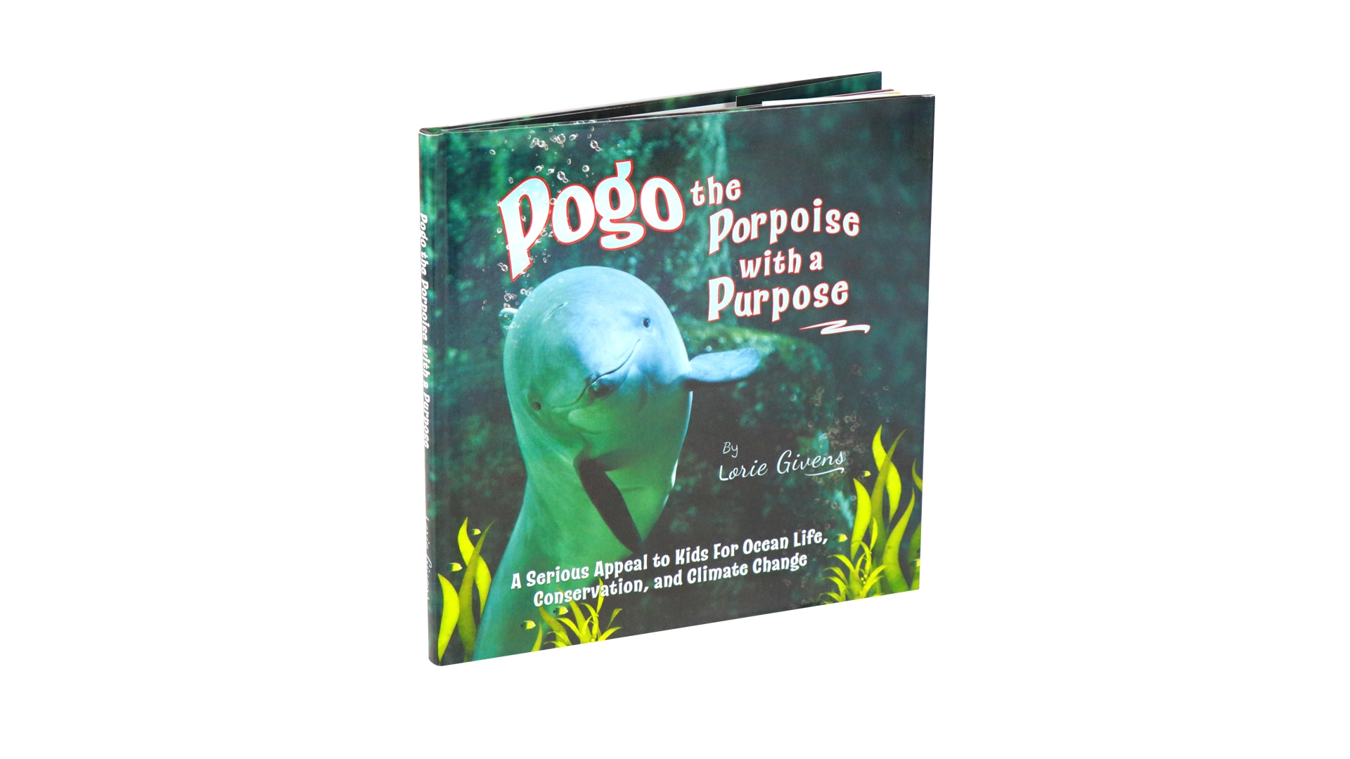 Printing Children Activity Illustration Book with Dust Jacket 1