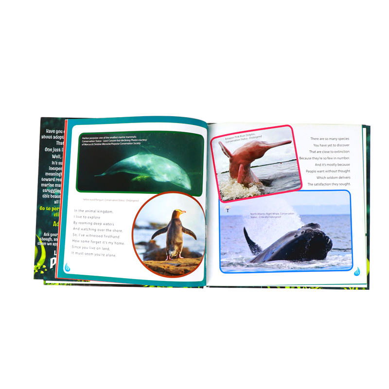 Printing Children Activity Illustration Book with Dust Jacket 7