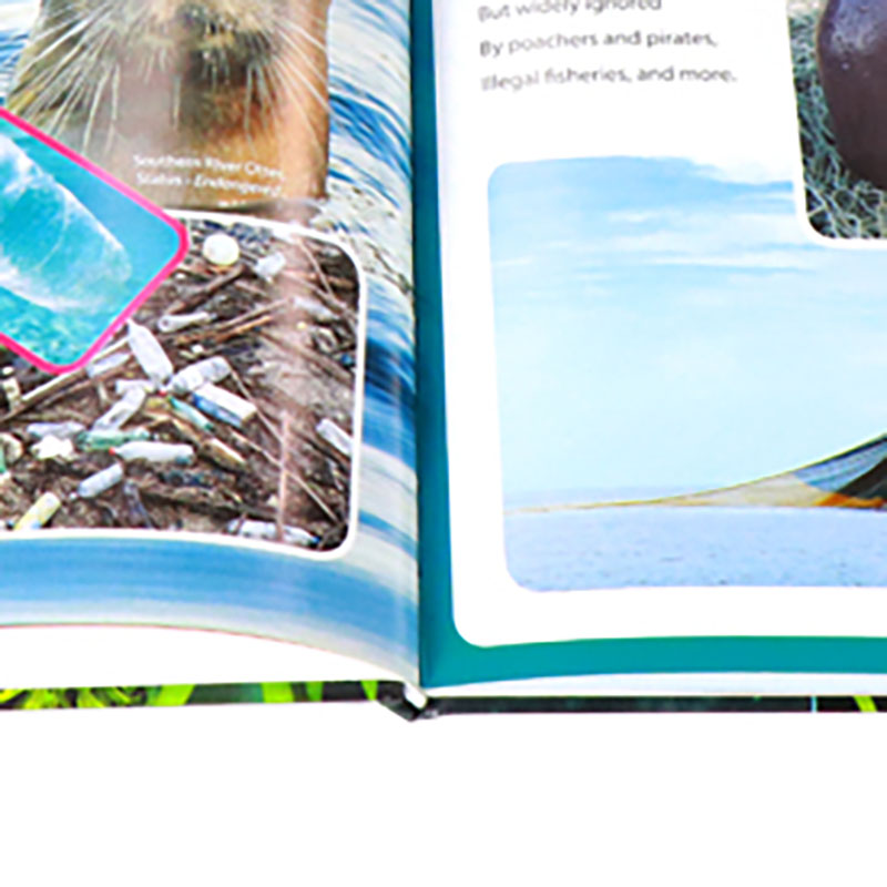 Printing Children Activity Illustration Book with Dust Jacket 10