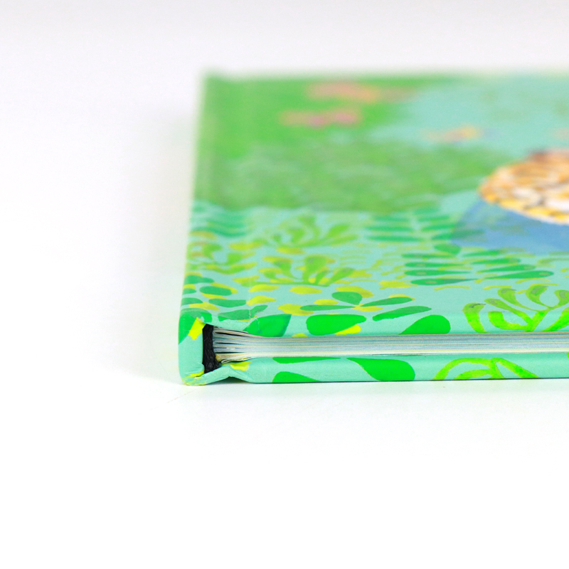 Author Self Published Full Color Printing Kids Educational Book 9