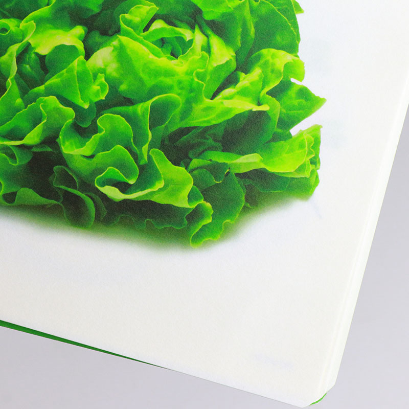 Special Paper Children Book Printing Softcover Spiral Kids Book 9