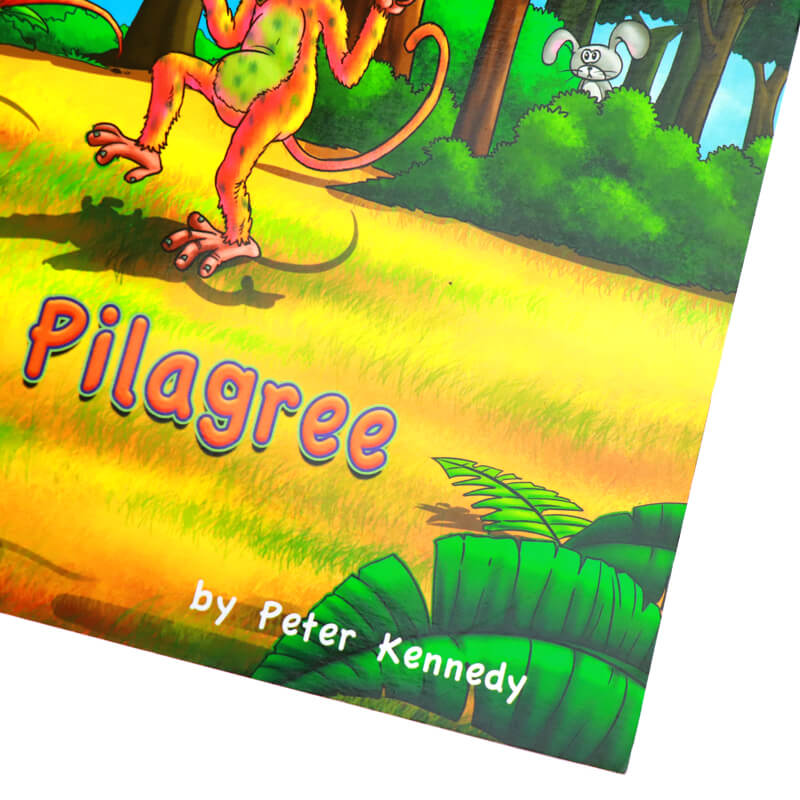 Custom Full Color Paperback Children's Book Printing Service 8