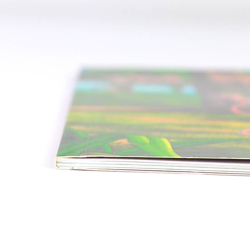 Custom Full Color Paperback Children's Book Printing Service 9