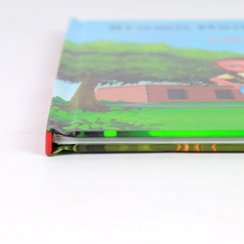 Publishing Full Color Glossy Hardcover Children's Book Printing 9