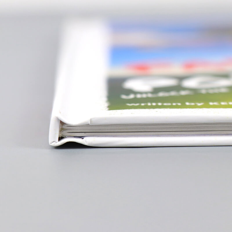 Custom Children Comic Book Printing Hardcover Adult Manga Book 9