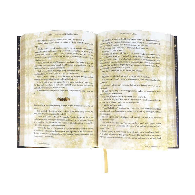 フルカラー特別版ロマンス小説印刷、金縁 7