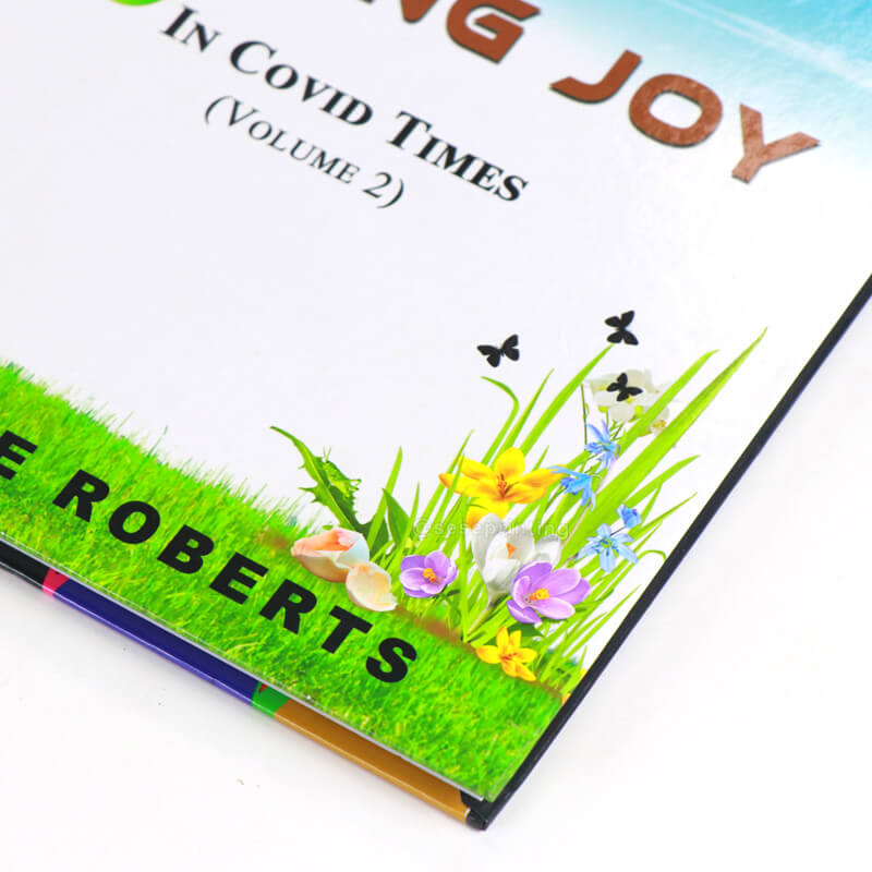 Custom Book Printing Services Full Color Hardback Story Books 8