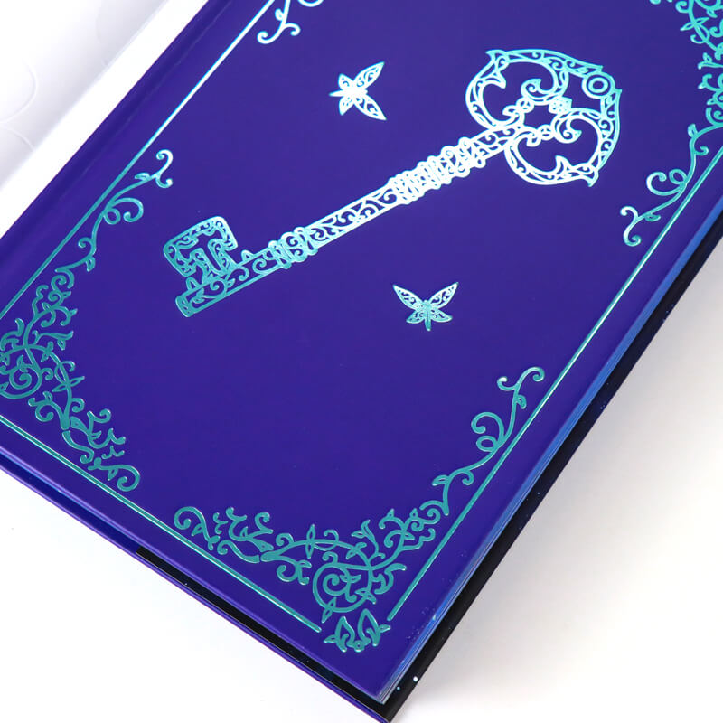 Sprayed Edges Novel with Color Illustration Pages and Dust Jackets 9