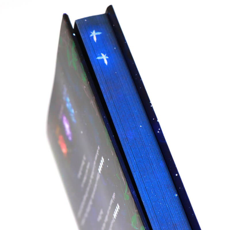 Sprayed Edges Novel with Color Illustration Pages and Dust Jackets 10