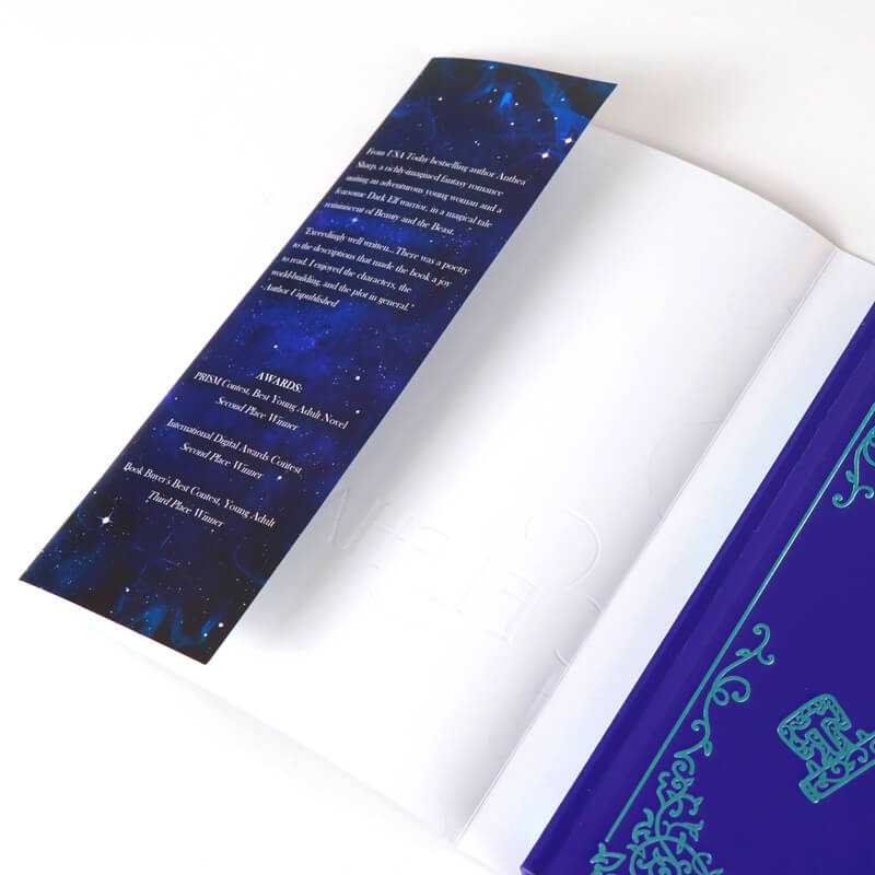 Sprayed Edges Novel with Color Illustration Pages and Dust Jackets 8